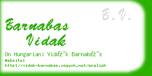 barnabas vidak business card